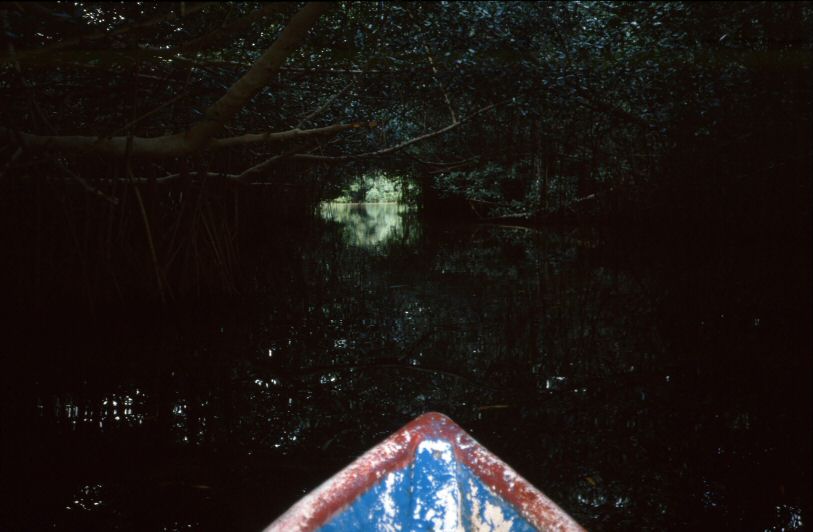 image0452.jpg