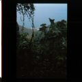 image0193.jpg