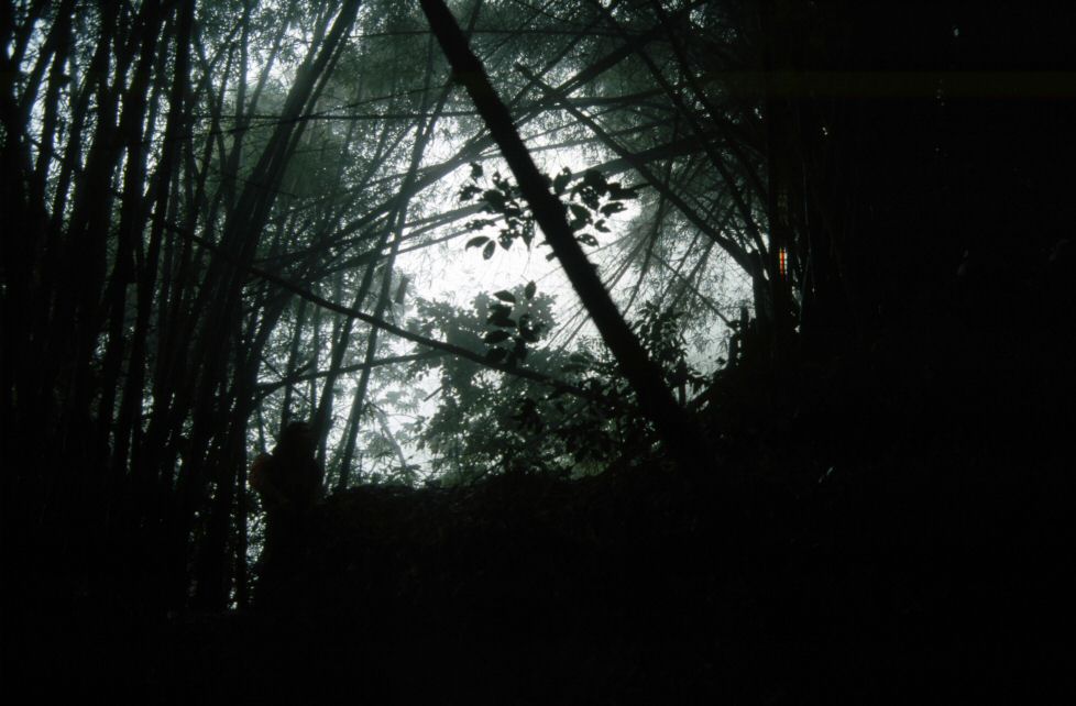 image0195.jpg