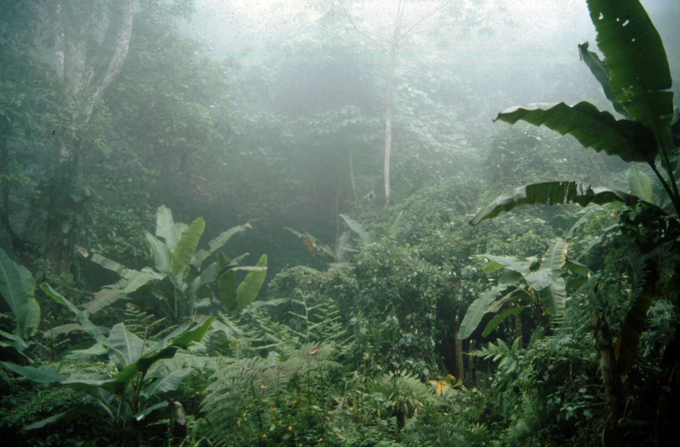image0196.jpg
