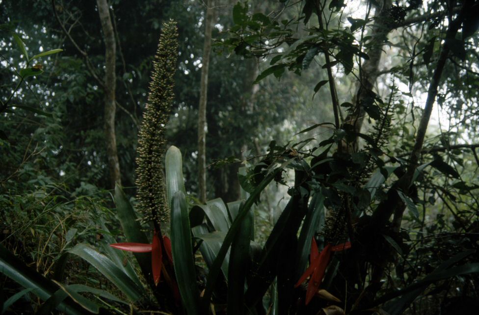 image0197.jpg