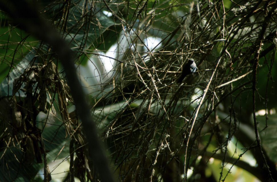 image0208.jpg