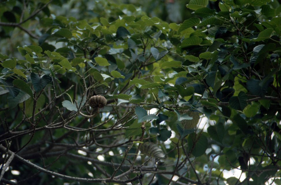 image0213.jpg