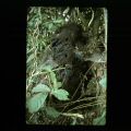image0219.jpg