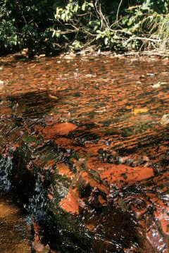 image0004.jpg