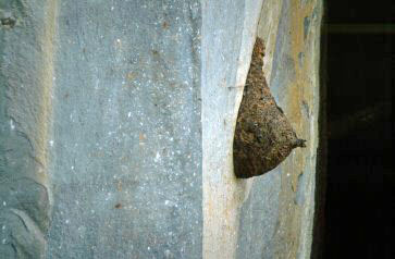 image0017.jpg