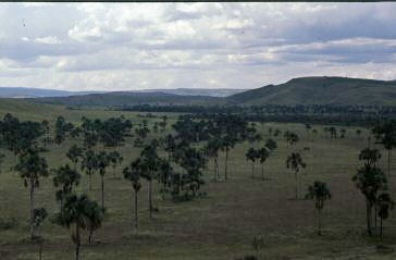 image0020.jpg