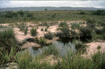image0035.jpg