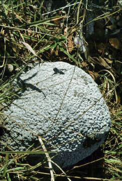 image061.jpg