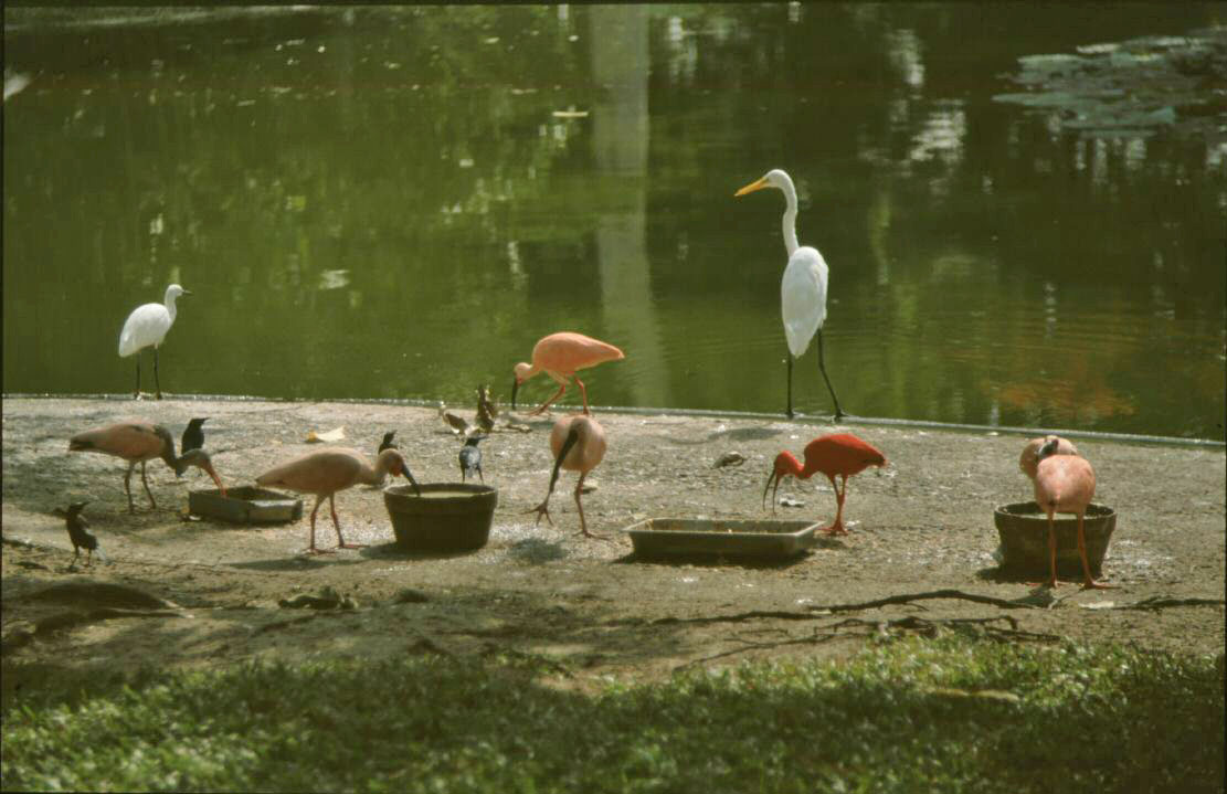image095.jpg
