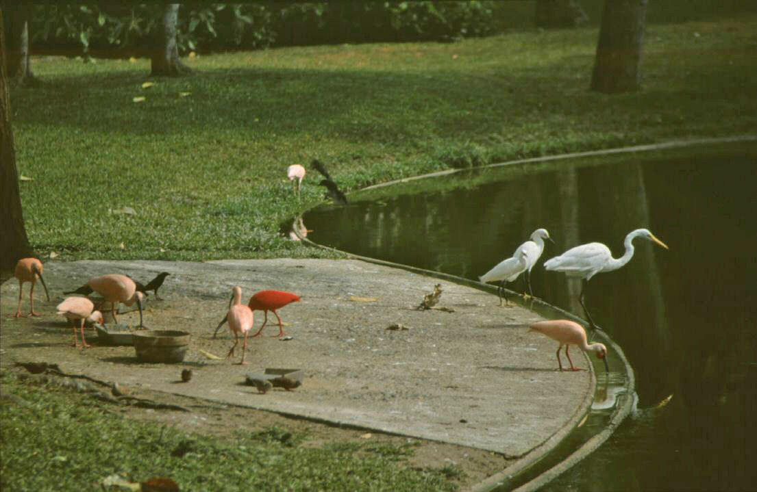 image097.jpg