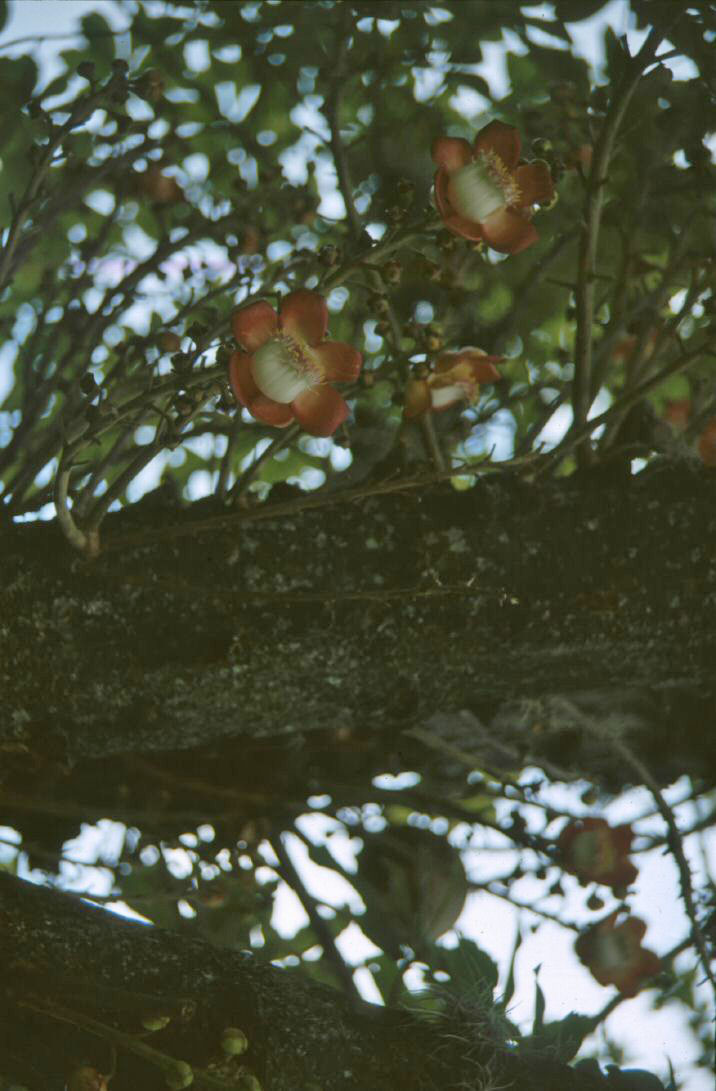 image103.jpg