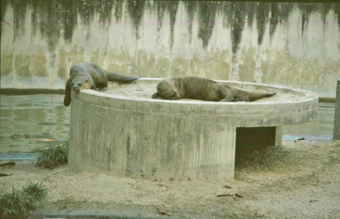 image105.jpg