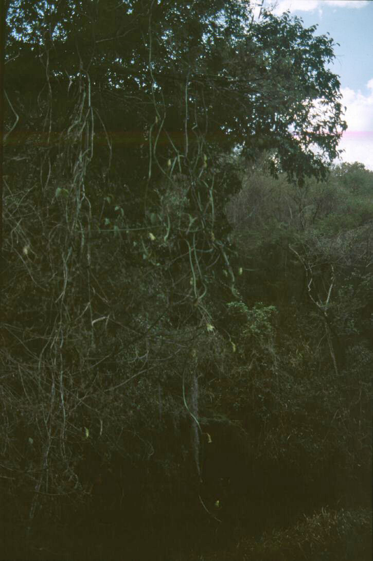 image109.jpg