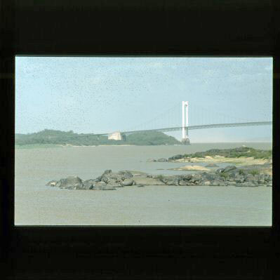 image4.jpg
