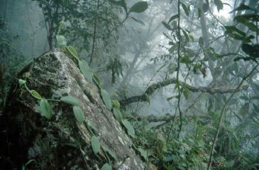 image48.jpg
