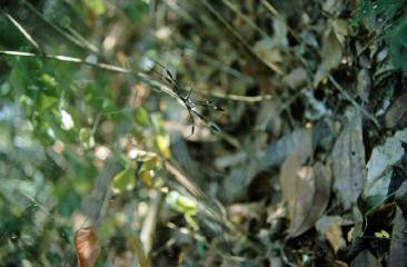 image50.jpg