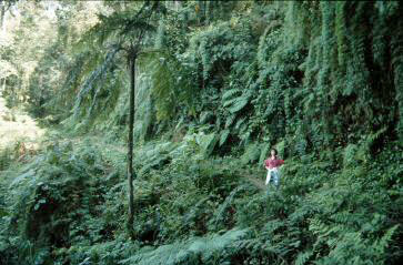image56.jpg