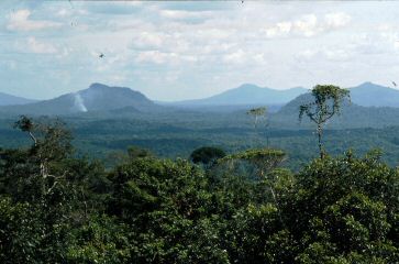 image63.jpg