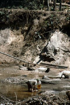 image77.jpg