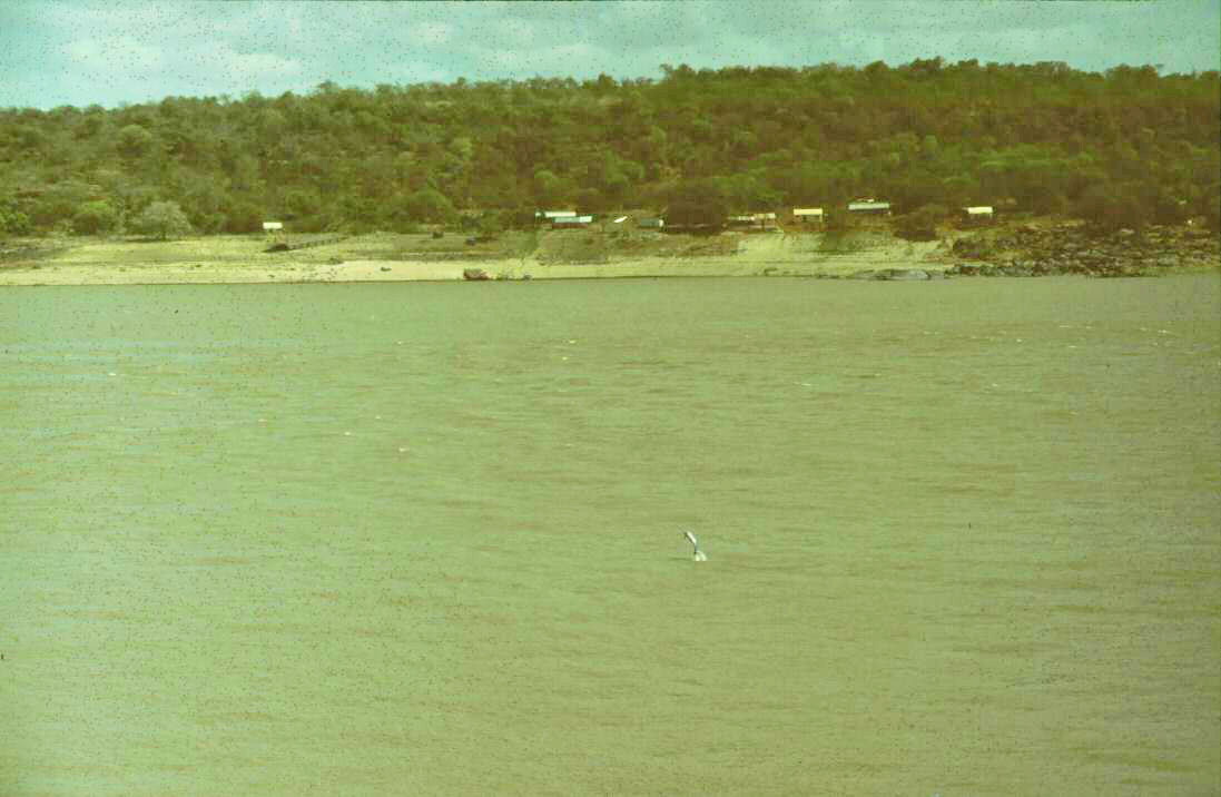image8.jpg