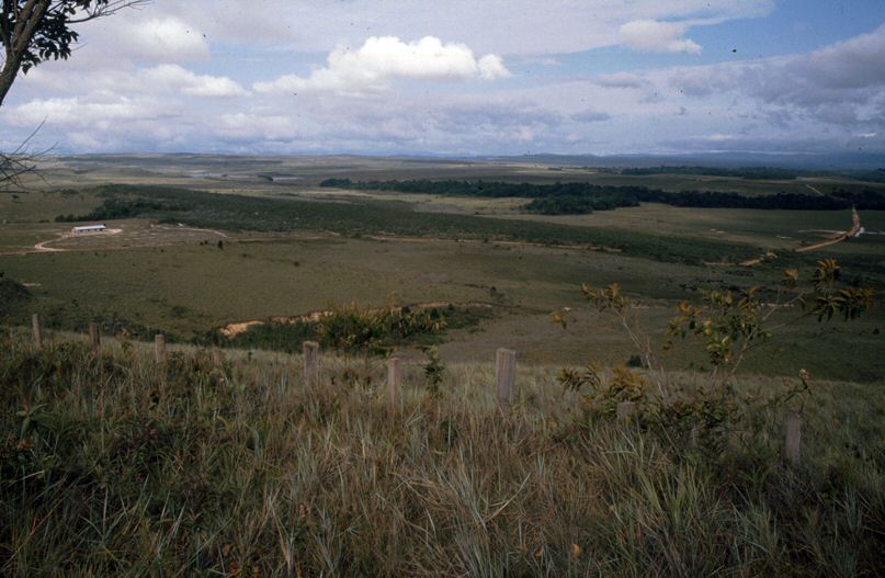 image0002.jpg