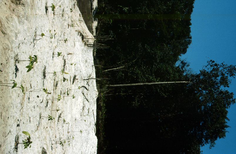 image0006.jpg