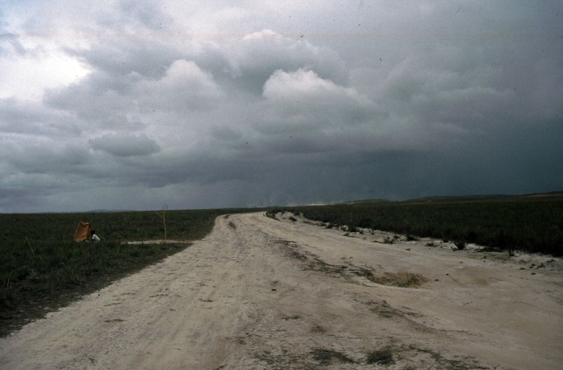 image0009.jpg