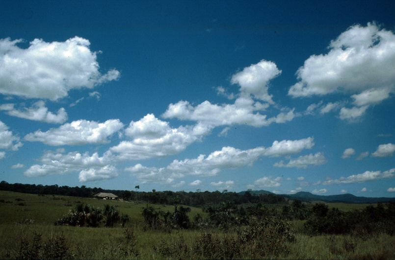 image0016.jpg