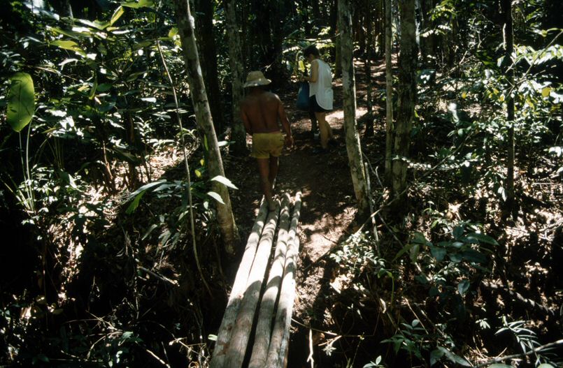 image0040.jpg