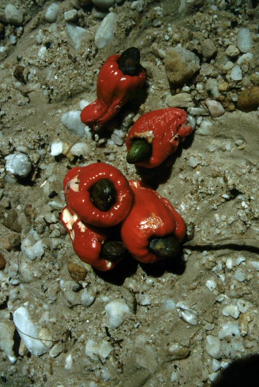 image0047.jpg