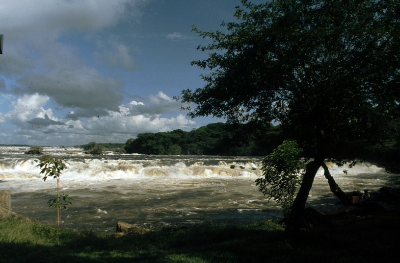 image0081.jpg