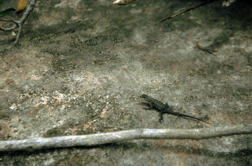 image0085.jpg