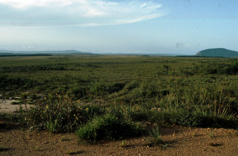 image0094.jpg