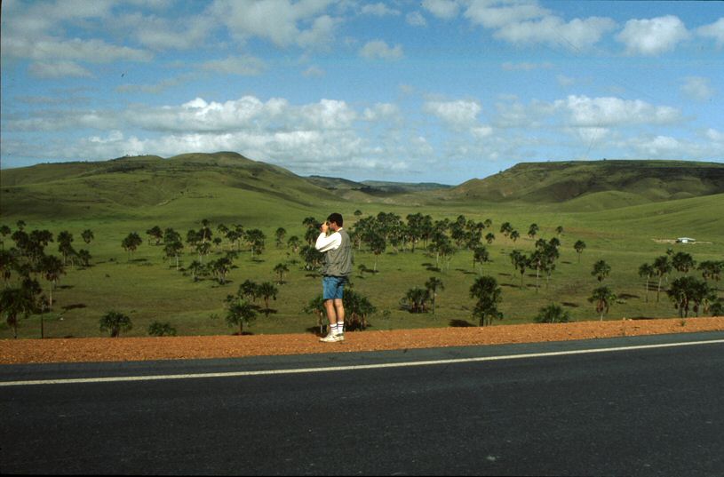 image0100.jpg