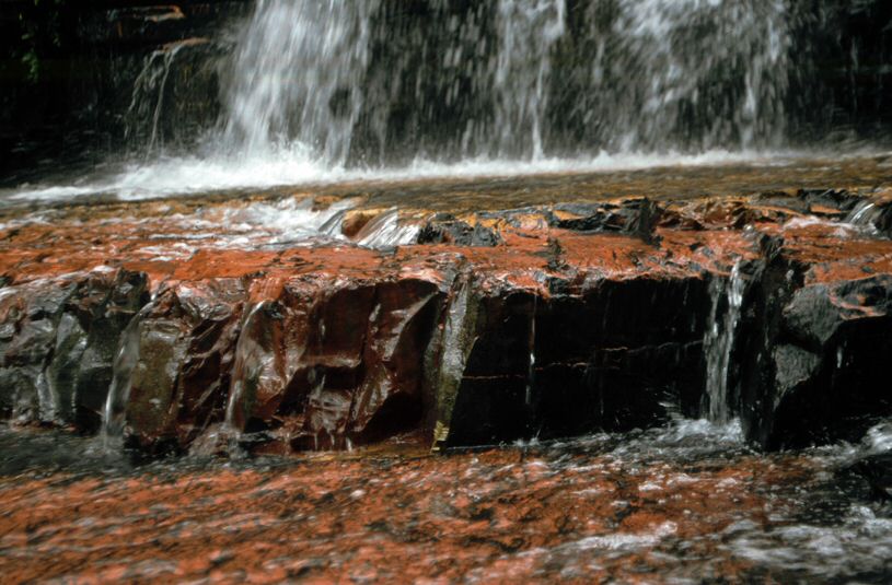 image0101.jpg