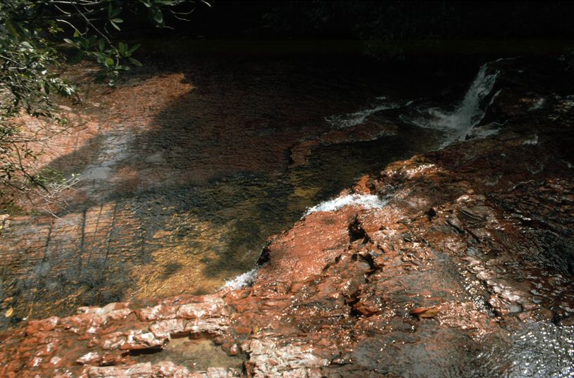 image0102.jpg