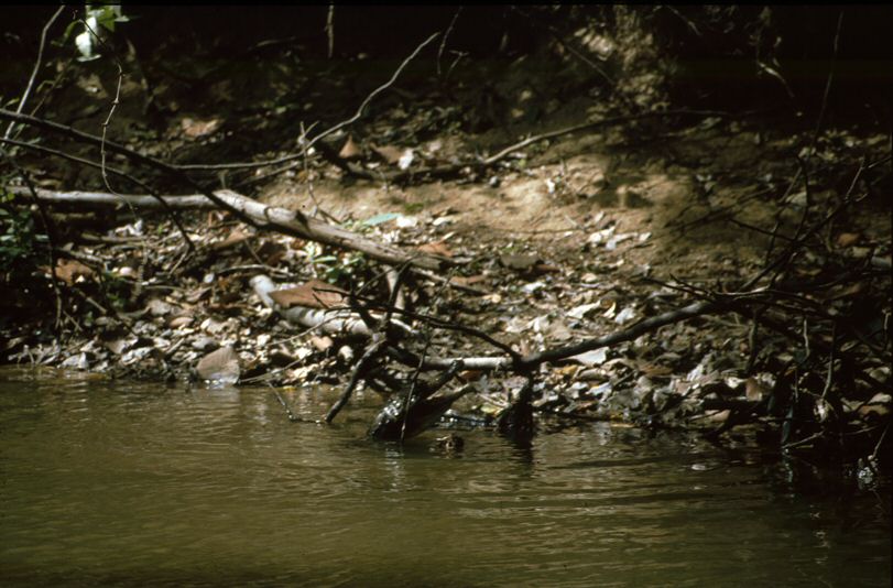 image0001.jpg