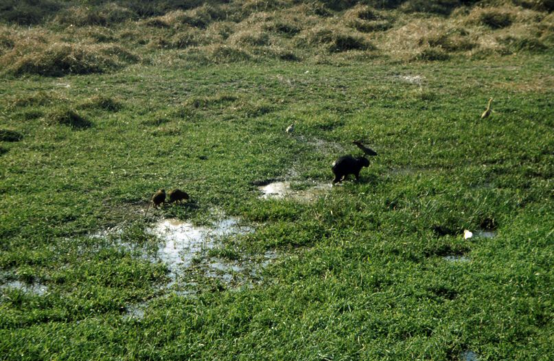 image0002.jpg