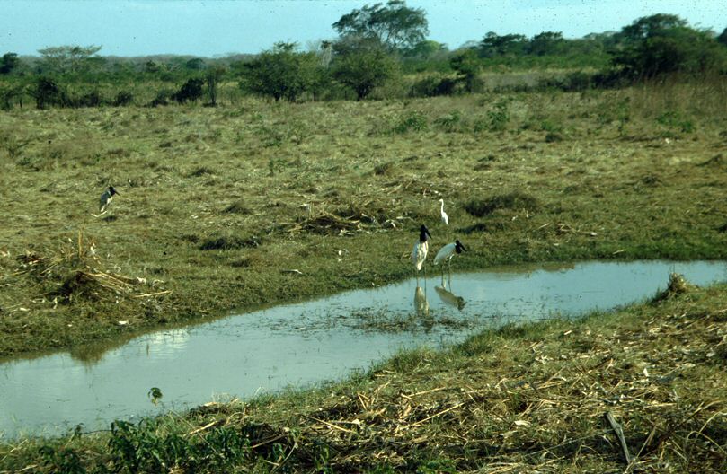 image0003.jpg