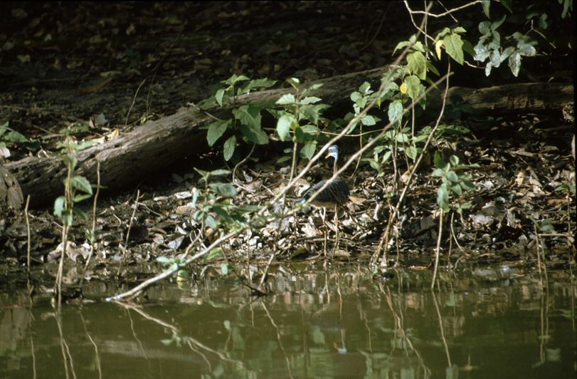 image0004.jpg