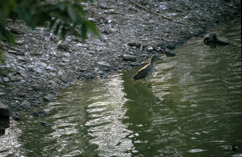 image0006.jpg