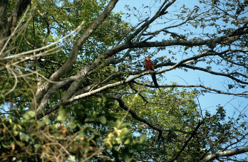 image0009.jpg