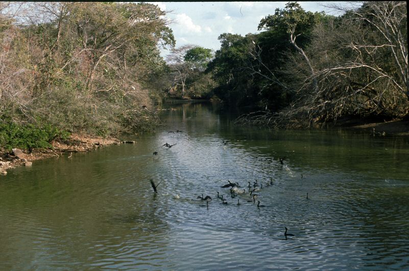 image0010.jpg