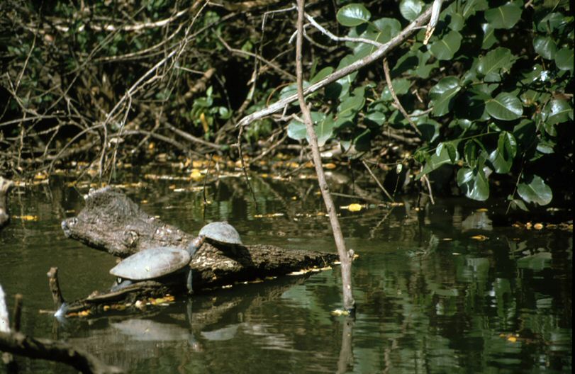 image0014.jpg