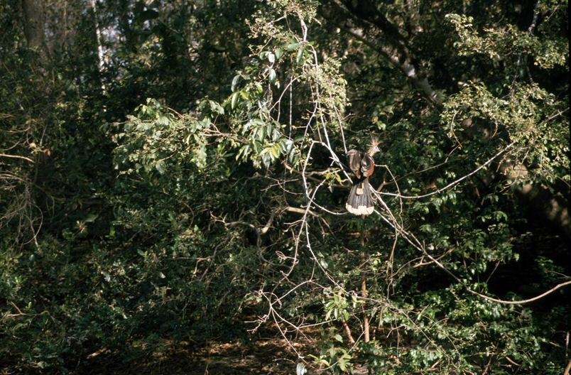 image0017.jpg