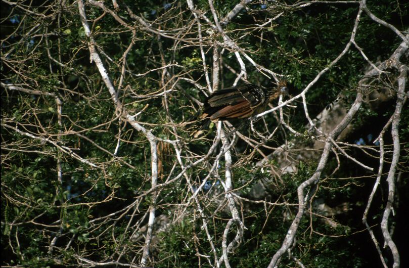 image0018.jpg