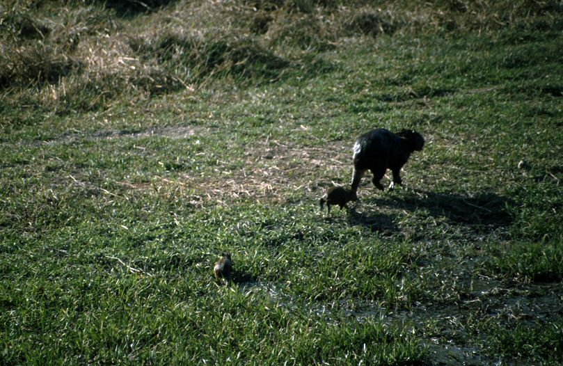 image0030.jpg