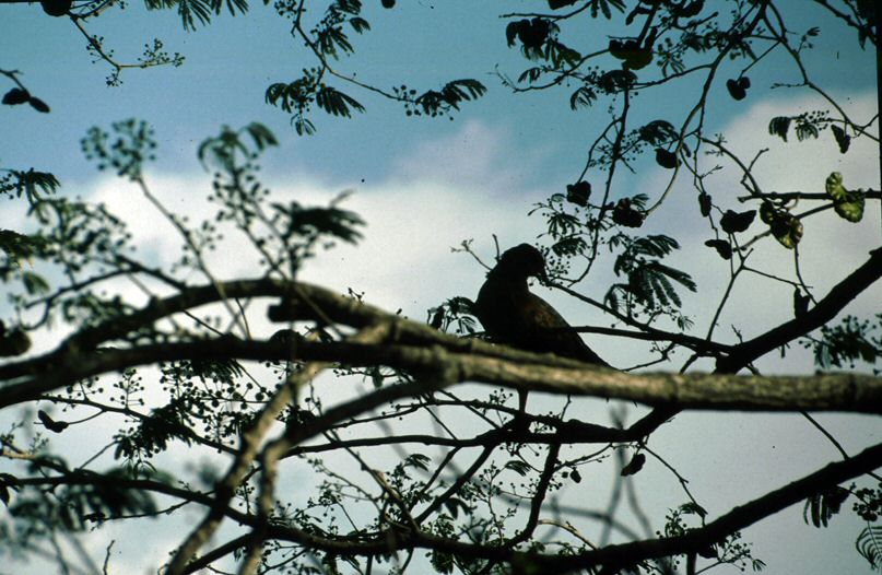 image0031.jpg