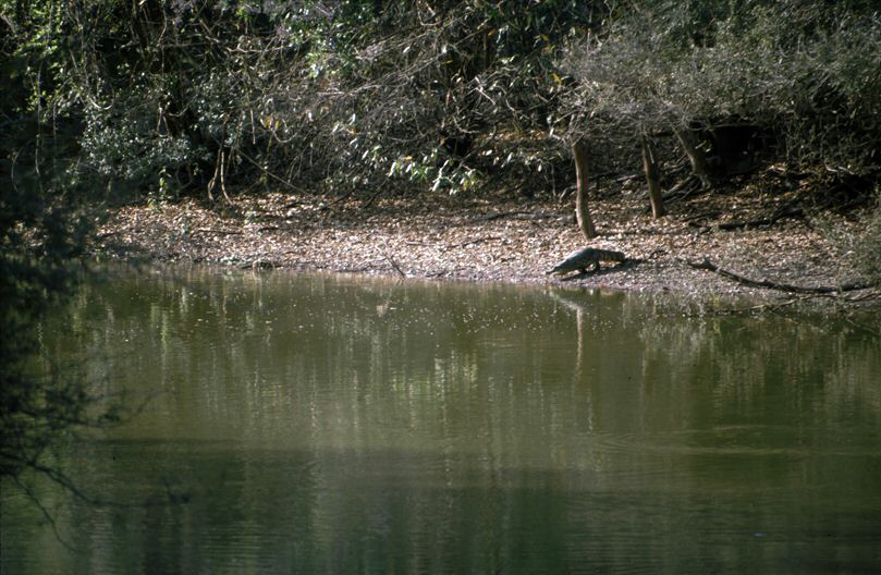 image0032.jpg